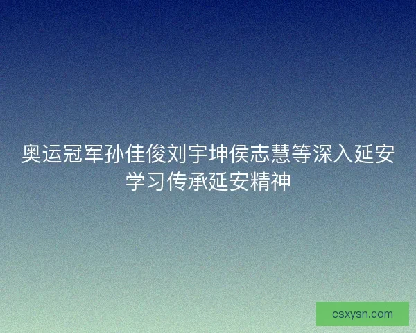 奥运冠军孙佳俊刘宇坤侯志慧等深入延安学习传承延安精神