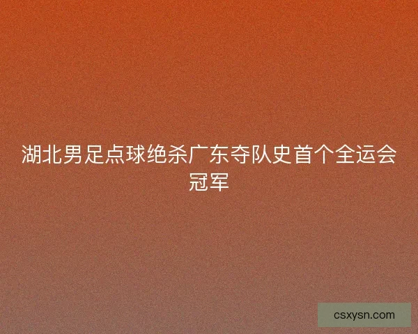 湖北男足点球绝杀广东夺队史首个全运会冠军