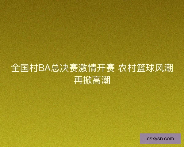 全国村BA总决赛激情开赛 农村篮球风潮再掀高潮 全国村BA总决赛激情开赛 农村篮球风潮再掀高潮